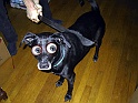 102-0272_IMG copy